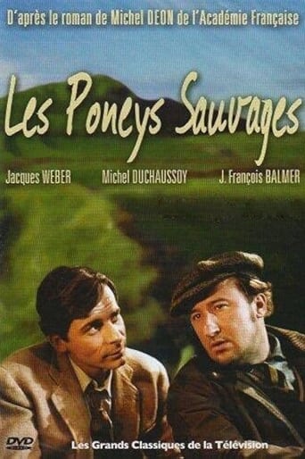 Poster of Les poneys sauvages