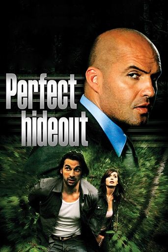 Poster of Perfect Hideout