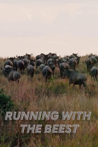 Poster of Running With The Beest