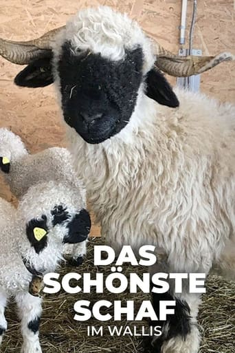 Poster of Das schönste Schaf im Wallis