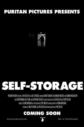 Poster of Self-Storage