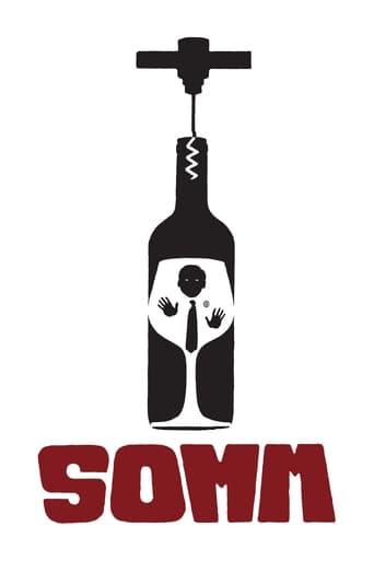 Poster of Somm