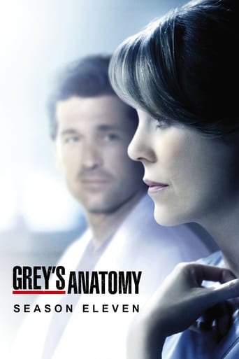 Portrait for Grey's Anatomy - Season 11