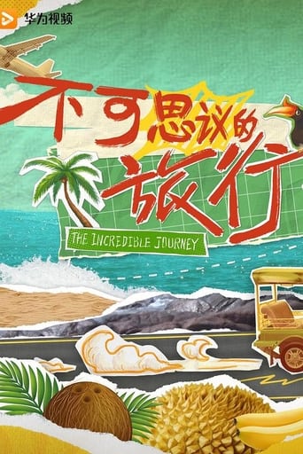 Poster of 不可思议的旅行