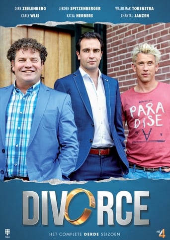 Portrait for Divorce - Season 3