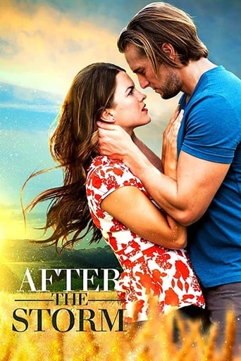 Poster of After the Storm