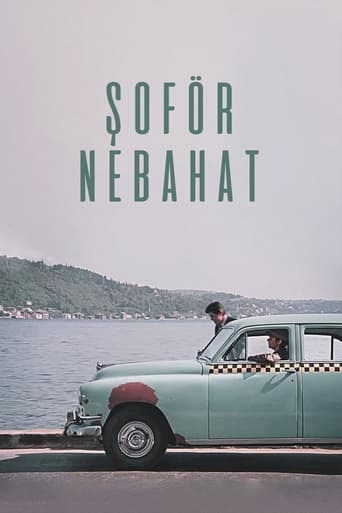 Poster of Nebahat The Driver