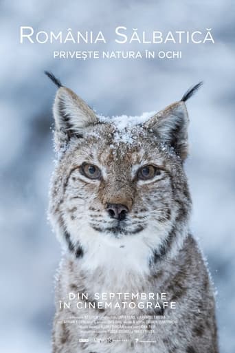 Poster of Wild Romania