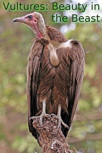 Poster of Vultures: Beauty in the Beast