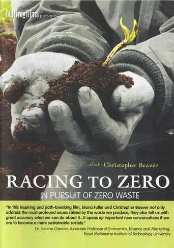 Poster of Racing To Zero