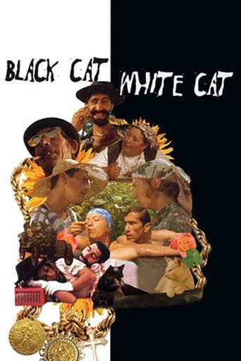 Poster of Black Cat, White Cat