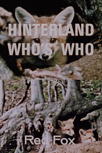 Poster of Hinterland Who's Who: Red Fox