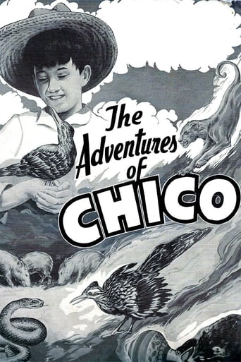 Poster of The Adventures of Chico