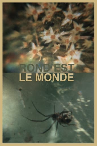 Poster of Rond est le monde