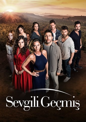 Poster of Sevgili Geçmiş