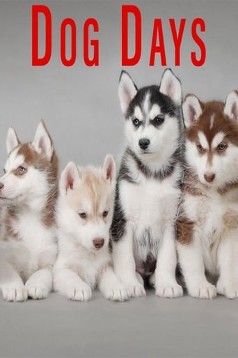 Poster of Dog Days