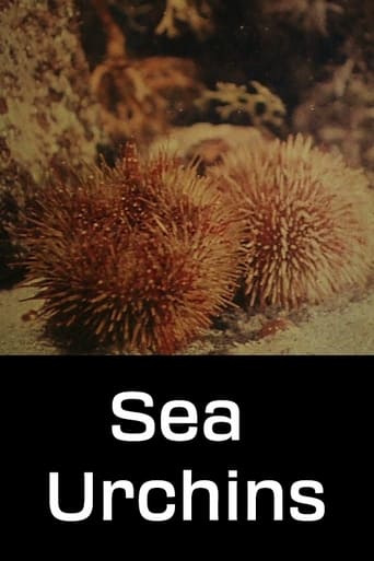 Poster of Sea Urchins