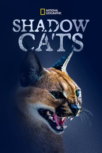 Poster of Shadow Cats