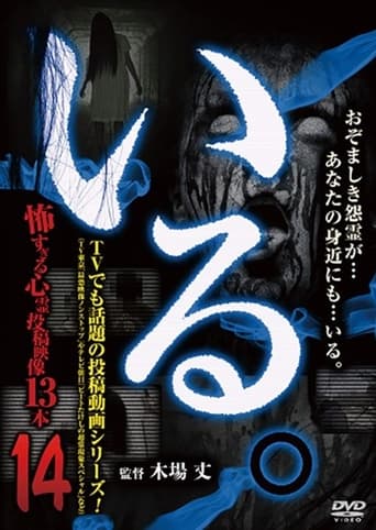 Poster of 「Iru.」~ Kowasugiru Tōkō Eizō 13-hon ~ Vol.14