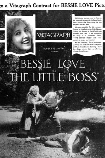 Poster of The Little Boss