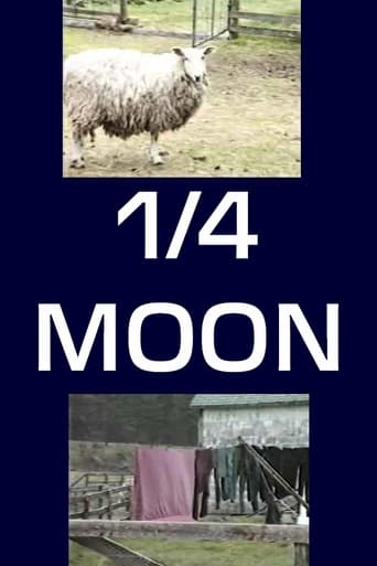 Poster of 1/4 Moon