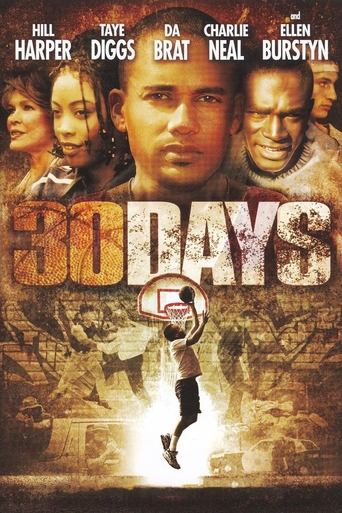 Poster of 30 Days