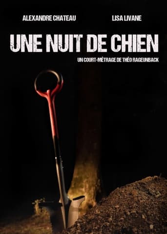 Poster of Une nuit de chien