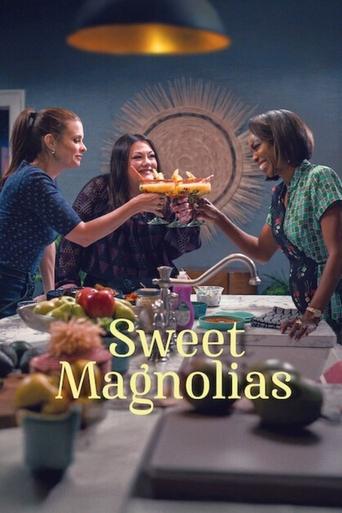 Portrait for Sweet Magnolias - Season 4