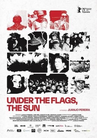 Poster of Under the Flags, the Sun