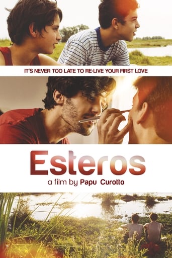 Poster of Esteros