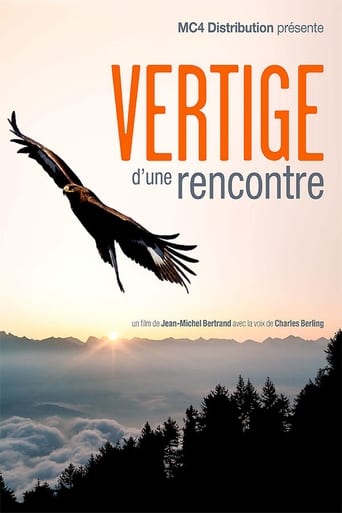 Poster of Vertige d'une rencontre