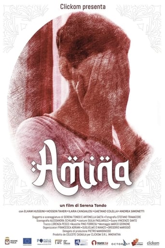 Poster of Amina