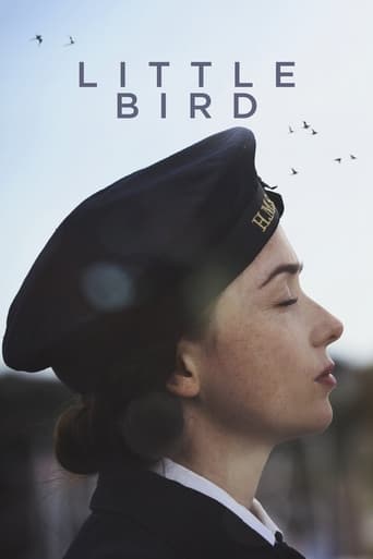 Poster of Little Bird