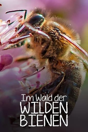 Poster of Im Wald der wilden Bienen