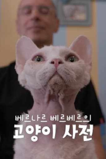 Poster of 베르나르 베르베르의 고양이 사전