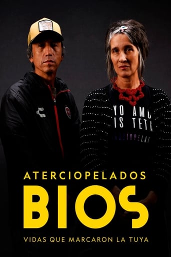 Poster of Bios, vidas que marcaron la tuya: Aterciopelados