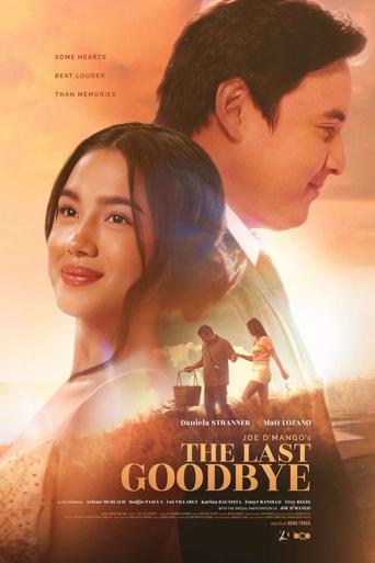 Poster of The Last Goodbye