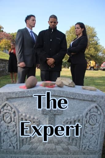 Poster of The Expert