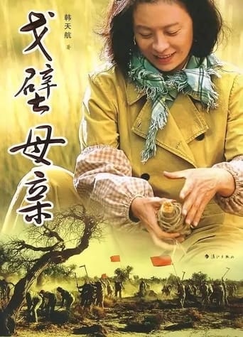 Poster of 戈壁母亲