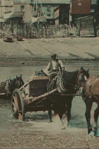 Poster of Fording the River