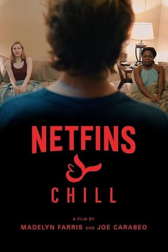 Poster of Netfins & Chill