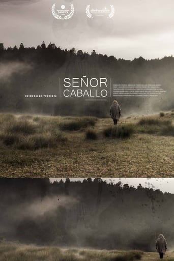 Poster of Señor Caballo