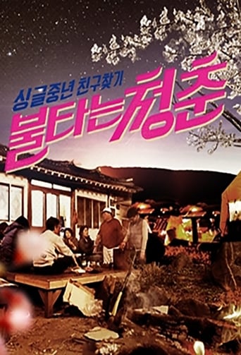 Poster of 불타는 청춘