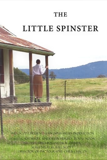 Poster of The Little Spinster