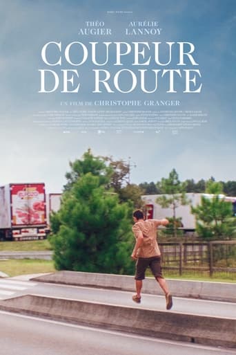 Poster of Roadtripper