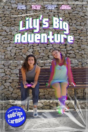 Poster of Lily's Big Adventure