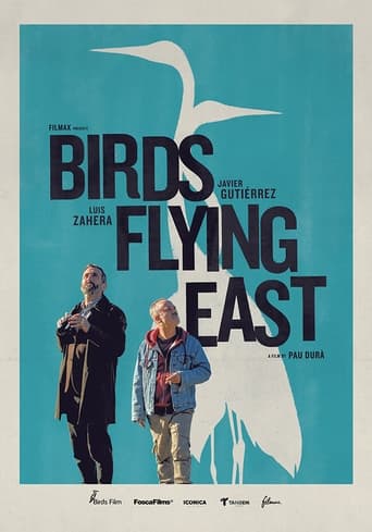 Poster of Birds Flying East