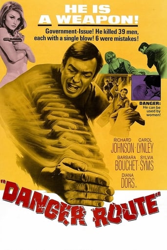 Poster of Danger Route