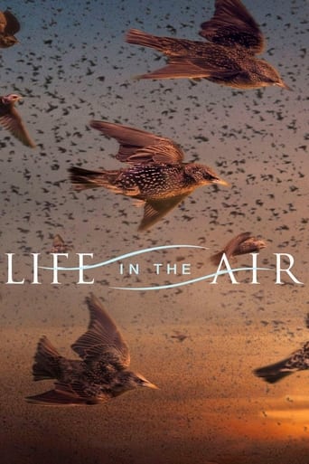 Portrait for Life in the Air - Miniseries