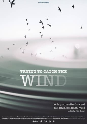 Poster of Trying to Catch the Wind